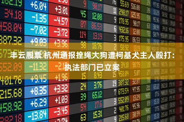 丰云股票 杭州通报拴绳大狗遭柯基犬主人殴打:执法部门已立案