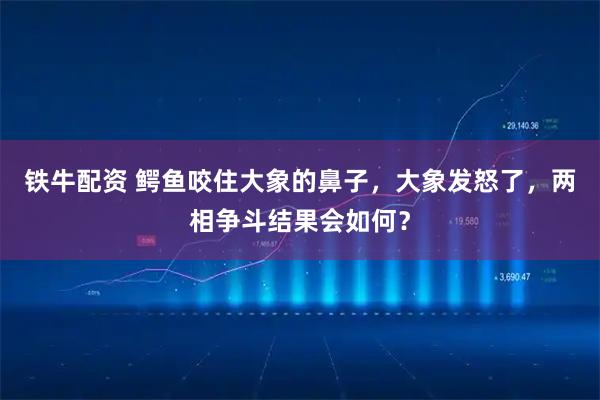 铁牛配资 鳄鱼咬住大象的鼻子,大象发怒了,两相争斗结果会如何?