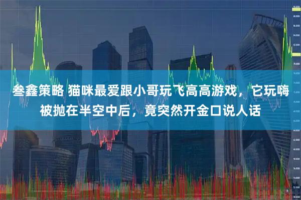 叁鑫策略 猫咪最爱跟小哥玩飞高高游戏,它玩嗨被抛在半空中后,竟突然开金口说人话