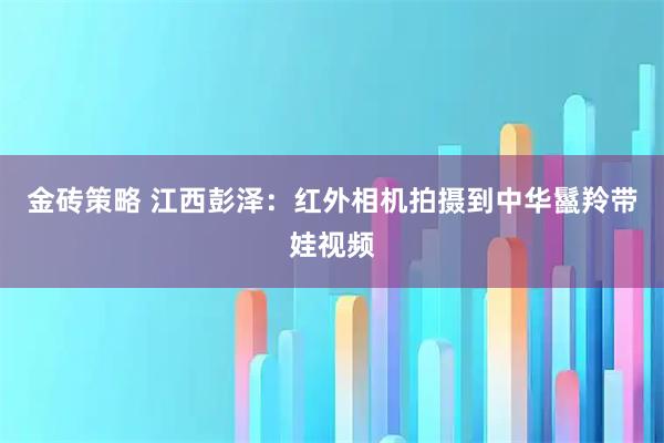 金砖策略 江西彭泽:红外相机拍摄到中华鬣羚带娃视频