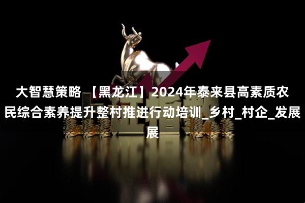 大智慧策略 【黑龙江】2024年泰来县高素质农民综合素养提升整村推进行动培训_乡村_村企_发展